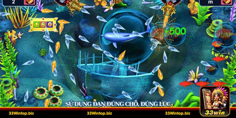 Sử dụng đạn dược hợp lý