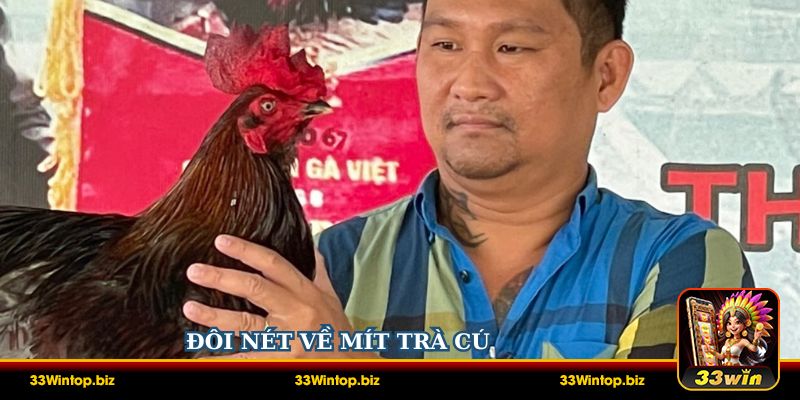 Đôi nét về Mít Trà Cú